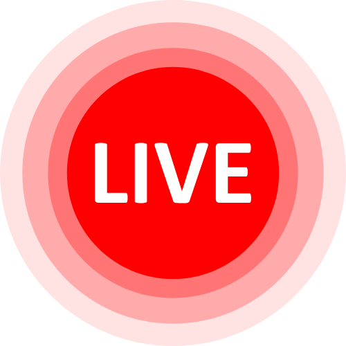 Rabbit Live Cam